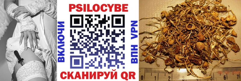 Псилоцибиновые грибы мухоморы  где продают наркотики  ссылка на мегу как зайти  Златоуст 